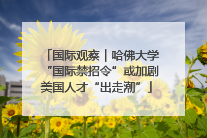 国际观察｜哈佛大学“国际禁招令”或加剧美国人才“出走潮”