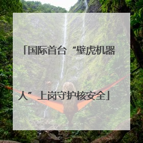 国际首台“壁虎机器人”上岗守护核安全