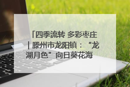 四季流转 多彩枣庄｜滕州市龙阳镇：“龙湖月色”向日葵花海 绘就乡村振兴新画卷