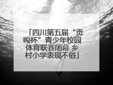 四川第五届“贡嘎杯”青少年校园体育联赛闭幕 乡村小学表现不俗