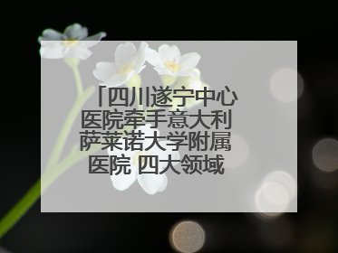 四川遂宁中心医院牵手意大利萨莱诺大学附属医院 四大领域开展全面合作