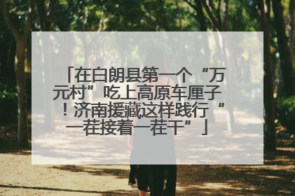 在白朗县第一个“万元村”吃上高原车厘子！济南援藏这样践行“一茬接着一茬干”
