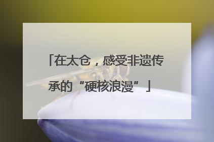 在太仓，感受非遗传承的“硬核浪漫”