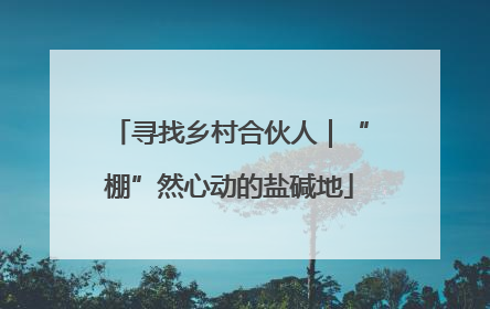 寻找乡村合伙人｜“棚”然心动的盐碱地