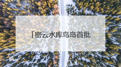 密云水库鸟岛首批幼鸟成功离巢试飞