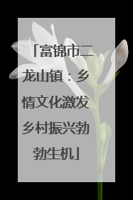 富锦市二龙山镇：乡情文化激发乡村振兴勃勃生机