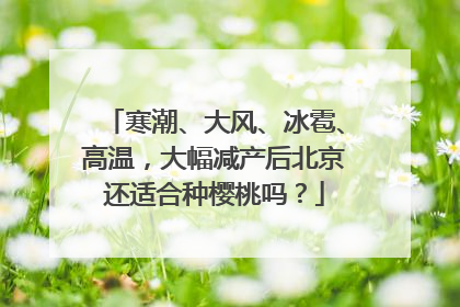 寒潮、大风、冰雹、高温，大幅减产后北京还适合种樱桃吗？