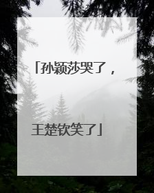 孙颖莎哭了，王楚钦笑了