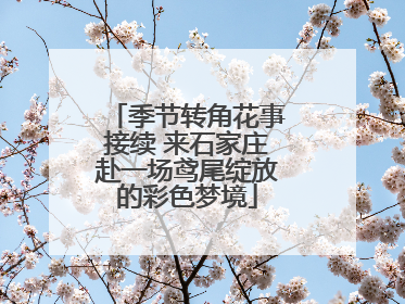 季节转角花事接续 来石家庄赴一场鸢尾绽放的彩色梦境
