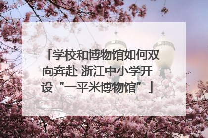 学校和博物馆如何双向奔赴 浙江中小学开设“一平米博物馆”