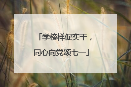 学榜样促实干，同心向党颂七一