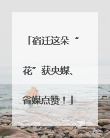 宿迁这朵“花”获央媒、省媒点赞！