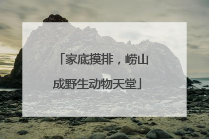 家底摸排，崂山成野生动物天堂