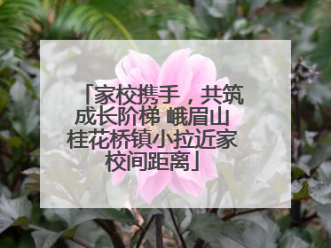 家校携手，共筑成长阶梯 峨眉山桂花桥镇小拉近家校间距离
