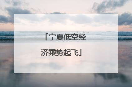 宁夏低空经济乘势起飞