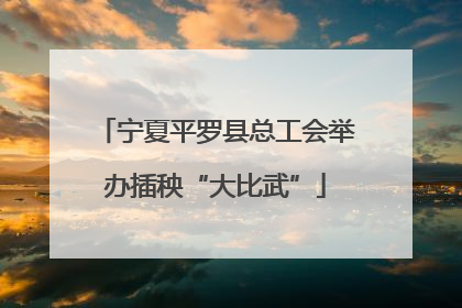 宁夏平罗县总工会举办插秧“大比武”