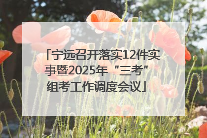 宁远召开落实12件实事暨2025年“三考”组考工作调度会议