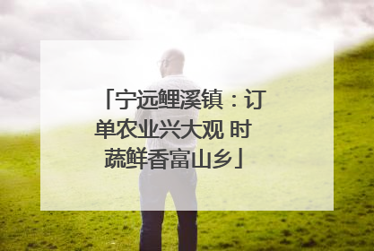 宁远鲤溪镇：订单农业兴大观 时蔬鲜香富山乡
