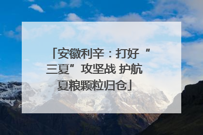 安徽利辛：打好“三夏”攻坚战 护航夏粮颗粒归仓