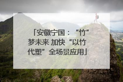 安徽宁国：“竹”梦未来 加快“以竹代塑”全场景应用