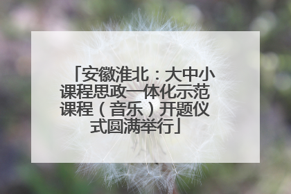 安徽淮北：大中小课程思政一体化示范课程（音乐）开题仪式圆满举行