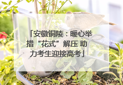 安徽铜陵：暖心举措“花式”解压 助力考生迎接高考