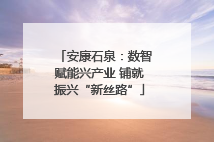 安康石泉：数智赋能兴产业 铺就振兴“新丝路”