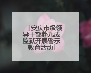 安庆市级领导干部赴九成监狱开展警示教育活动