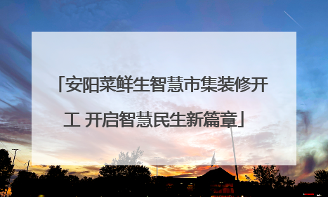 安阳菜鲜生智慧市集装修开工 开启智慧民生新篇章