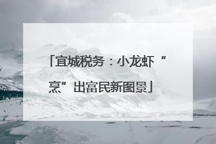 宜城税务：小龙虾“烹”出富民新图景