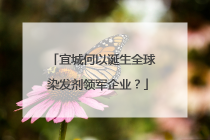 宜城何以诞生全球染发剂领军企业？