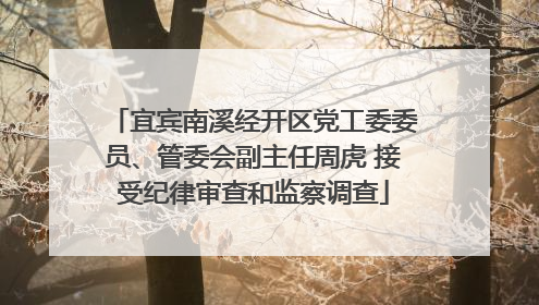 宜宾南溪经开区党工委委员、管委会副主任周虎 接受纪律审查和监察调查