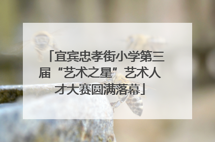 宜宾忠孝街小学第三届“艺术之星”艺术人才大赛圆满落幕