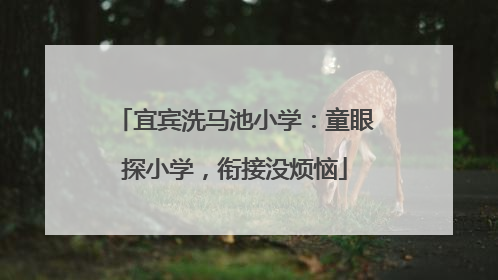 宜宾洗马池小学：童眼探小学，衔接没烦恼