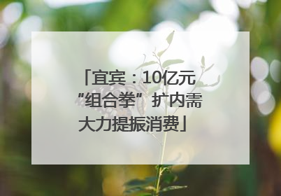 宜宾：10亿元“组合拳”扩内需 大力提振消费