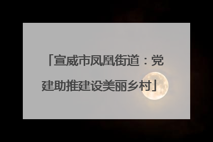 宣威市凤凰街道：党建助推建设美丽乡村