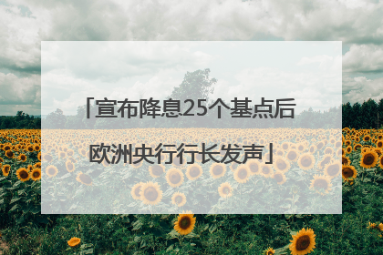 宣布降息25个基点后 欧洲央行行长发声