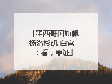 墨西哥国旗飘扬洛杉矶 白宫：看，罪证
