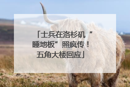 士兵在洛杉矶“睡地板”照疯传！五角大楼回应