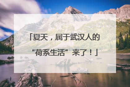 夏天，属于武汉人的“荷系生活”来了！
