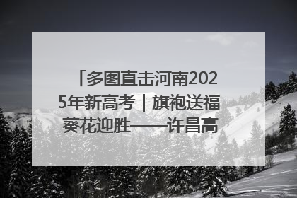 多图直击河南2025年新高考｜旗袍送福 葵花迎胜——许昌高考首日拉开帷幕