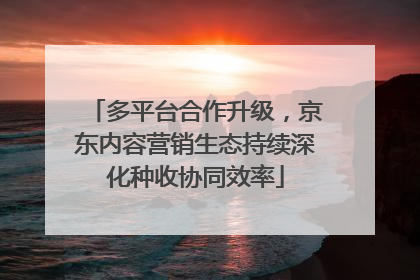 多平台合作升级,京东内容营销生态持续深化种收协同效率