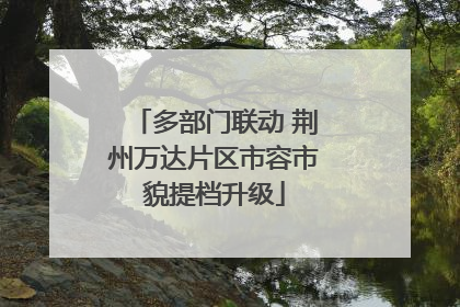 多部门联动 荆州万达片区市容市貌提档升级