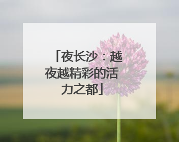 夜长沙：越夜越精彩的活力之都
