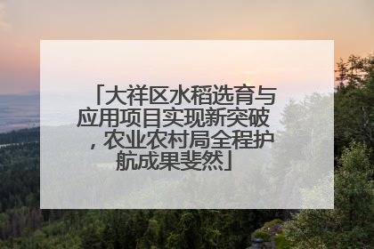 大祥区水稻选育与应用项目实现新突破，农业农村局全程护航成果斐然