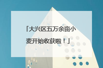大兴区五万余亩小麦开始收获啦！