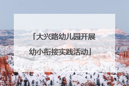 大兴路幼儿园开展幼小衔接实践活动
