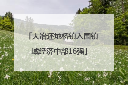 大冶还地桥镇入围镇域经济中部16强
