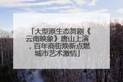 大型原生态舞剧《云南映象》唐山上演，百年商街焕新点燃城市艺术激情