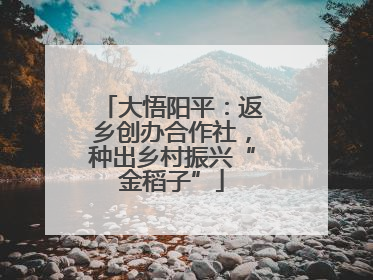 大悟阳平：返乡创办合作社，种出乡村振兴“金稻子”